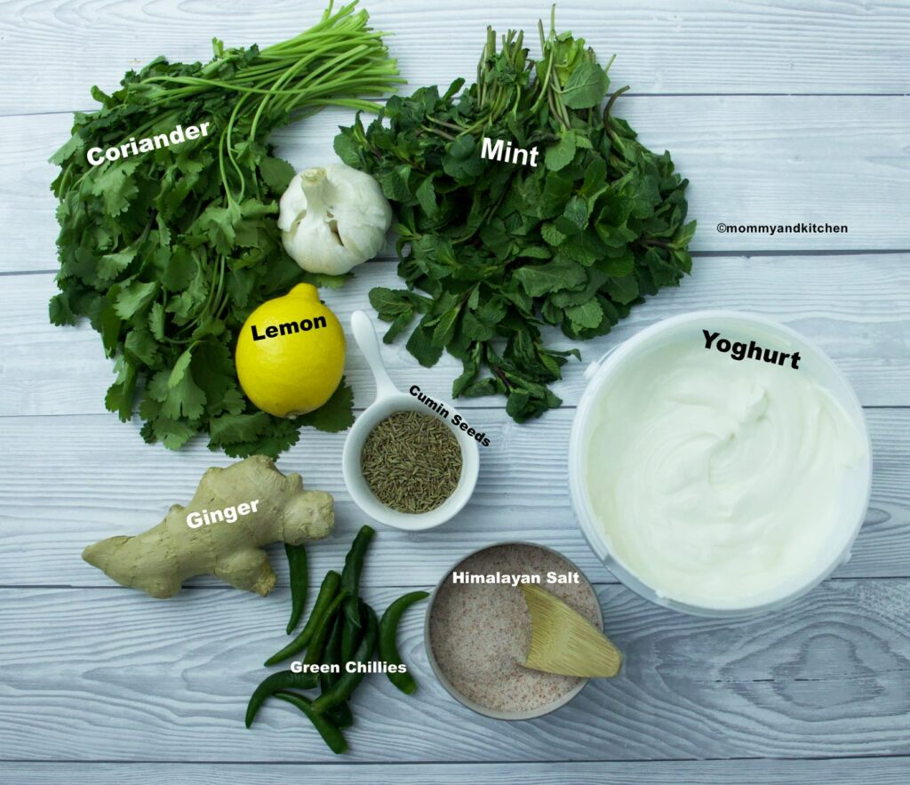 Ingredients for Mint Chutney 